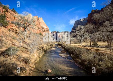 Fiume Fiume vergine fluisce attraverso il canyon Zion, inverno, Parco Nazionale Zion, Utah, Stati Uniti d'America Foto Stock