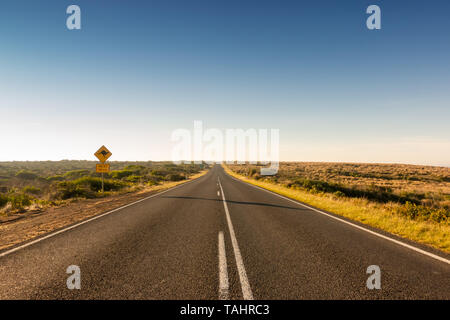 Kangaroo crossing road sign driver di avvertimento in Australia Foto Stock