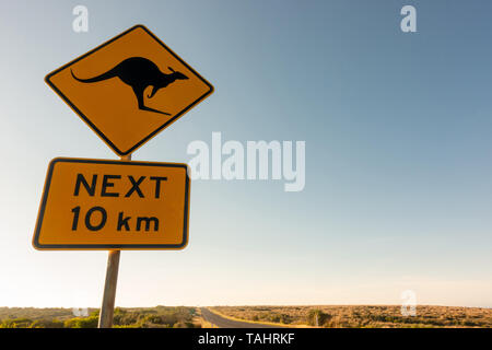 Kangaroo crossing road sign driver di avvertimento in Australia Foto Stock