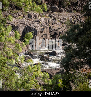 Cataract Gorge, Launceston, Tasmania Foto Stock