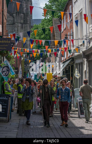 HEREFORD, Regno Unito - 18 Maggio: estinzione della ribellione i manifestanti sono visti in marcia attraverso la città di Hereford il 18 maggio 2019. Foto Stock