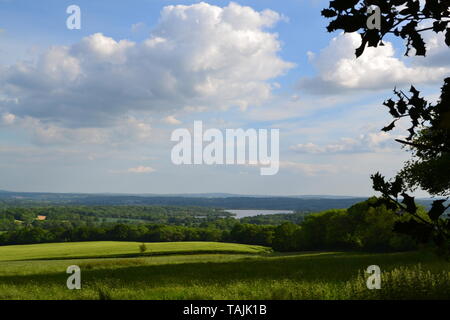 Vista verso la Fronda serbatoio di faggio e il Kent basso Weald da Stubbs legno vicino alla collina di IDE, Kent, Inghilterra nel maggio, primavera. Foto Stock