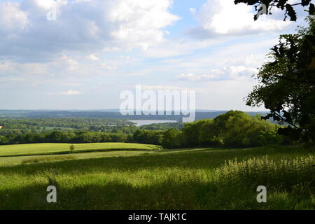 Vista verso la Fronda serbatoio di faggio e il Kent basso Weald da Stubbs legno vicino alla collina di IDE, Kent, Inghilterra nel maggio, primavera. Foto Stock