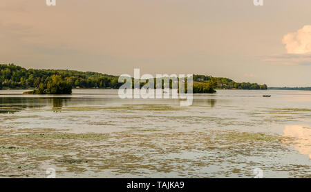 Cottage Estate Lago di scena con placido lago con le isole e le piante acquatiche e bella riflessione di cloud in acqua calma Foto Stock