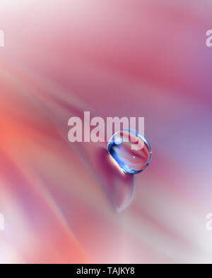 Un bel colore arancione sullo sfondo della natura.colorato sfondo artistico.astratto naturale la fotografia macro.Creative arte floreale di Design.color corallo.Gerbera Daisy Foto Stock