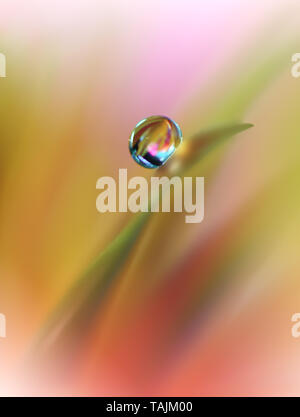 Un bel colore arancione sullo sfondo della natura.colorato sfondo artistico.astratto naturale la fotografia macro.Creative arte floreale di Design.color corallo.Gerbera Daisy Foto Stock