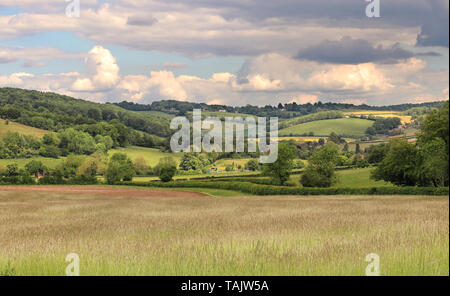 Un inglese un paesaggio rurale nella Chiltern Hills Foto Stock