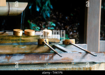 Siviere di bamboo presso la fontana di purificazione, Mieji Santuario, Tokyo, Giappone Foto Stock