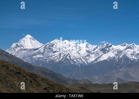 Himalaya, Dhaulagiri Himal visto da Muktinath, Nepal Foto Stock