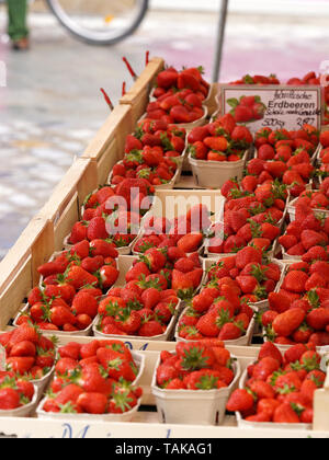 Rosso fresco Fragole su un mercato agricolo in scatole Foto Stock