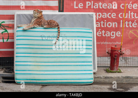 Montreal, CA - 26 Maggio 2019: eliminato il materasso con cimici avviso scritto in francese su strada. Foto Stock