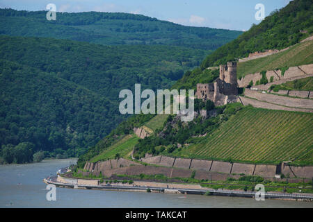 Ehrenfels Castello Burg Ehrenfels sul fiume Reno vicino a Rüdesheim e Bingen am Rhein, Hessen, Germania Foto Stock