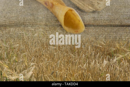 Shofar e campo di grano prato simboli della festa ebraica Shavuot Foto Stock