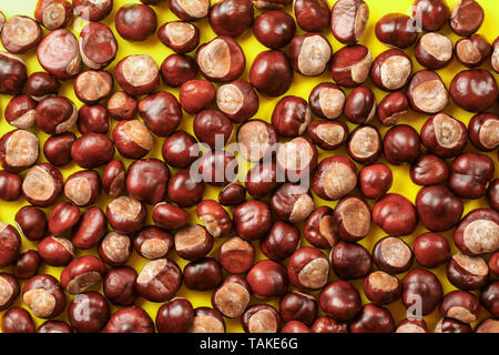 Pila di ippocastani sparsi sulla scheda gialla, foto da sopra Foto Stock