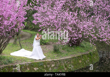 WUHAN-HUBEI/Cina, MAR 29-2019: Wuhan Botanic Garden. Generici di giovane sposa sta guardando la prugna Fiore fiore nella parte del giardino. Si tratta di uno dei Foto Stock