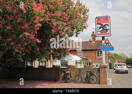 Il Flying Horse pub al Smarden, Kent, accanto a una fioritura di cavallo rosso Castagno, Aescalus Carnea, England, Regno Unito Foto Stock