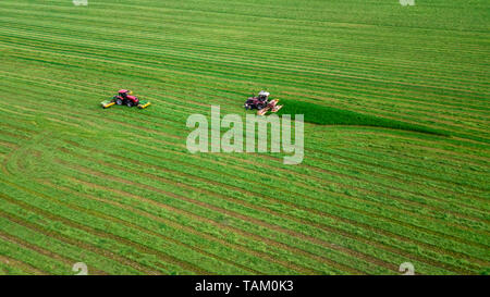 Due trattori mows l'erba su un campo verde vista aerea Foto Stock