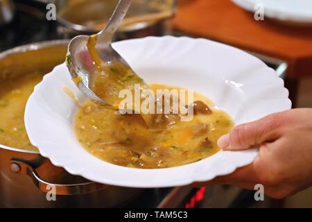 Tenendo zuppa in una piastra. Deliziosa casa zuppa di funghi servita in una piastra. Foto Stock