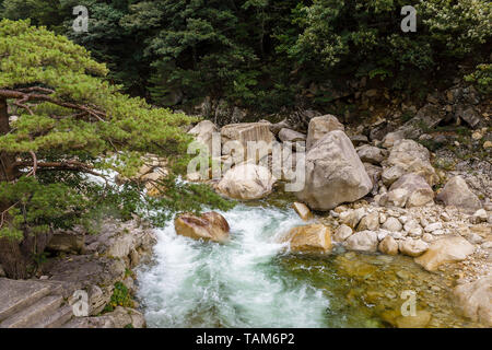 Mount Kumgang regione turistica, regione amministrativa speciale della Corea del Nord Foto Stock