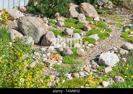 Giardino di roccia. sfondo giardinaggio. giardiniere backyard elemento di design Foto Stock