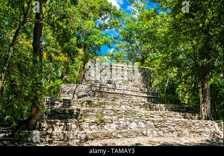 Antica Piramide Maya a Muyil in Quintana Roo, Messico Foto Stock