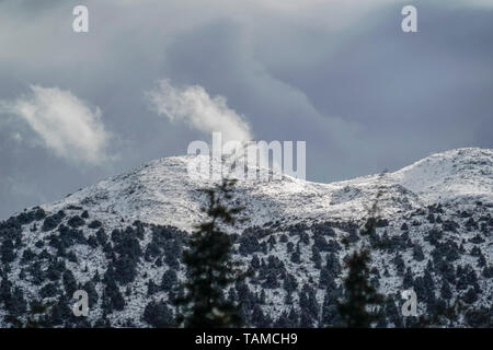 Snowscape in altopiano di Lassithi, Creta, Grecia Foto Stock