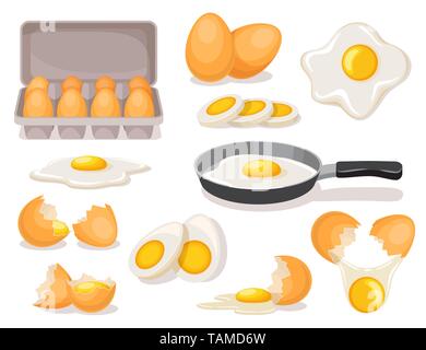 Set di uova bollite e fritte in padella, nella confezione in cartone, guscio rotto Illustrazione Vettoriale