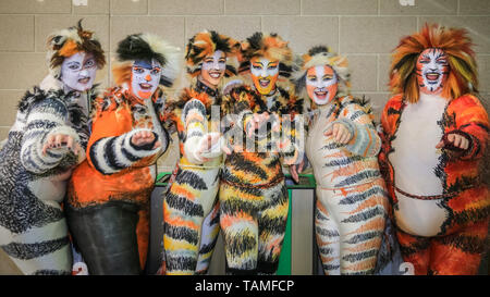 Londra, Regno Unito. 26 Maggio, 2019. Un gruppo pongono nel loro carattere vivace abiti dal musical "Cats". MCM Comicon del terzo e ultimo giorno, vede ancora una volta migliaia di cosplayers e appassionati di fumetti, giochi e sci-fi fantasy e ruotare fino in fantastici costumi e abiti a ExCel di Londra per celebrare i loro personaggi preferiti. Credito: Imageplotter/Alamy Live News Foto Stock