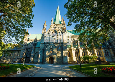 Il medievale la cattedrale Nidaros nel centro della città di Trondheim. Foto Stock