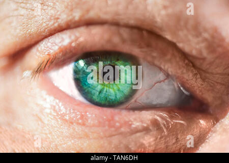 Gli uomini, umana, close-up, occhio, macro, cercando, visione, persone, eyeball, bellezza, iris, guardare il colore delle sopracciglia, persona, uno, maschi, blu, a, immagine, fac Foto Stock
