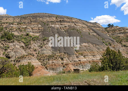 Argilla bentonitica scivolare lungo una pendenza Badlands nel Parco nazionale Theodore Roosevelt in North Dakota Foto Stock