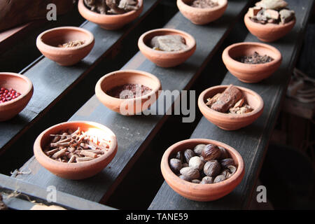 Close up di ingredienti di trattamento ayurvedico - spezie, radici, erbe aromatiche, Sri Lanka Foto Stock