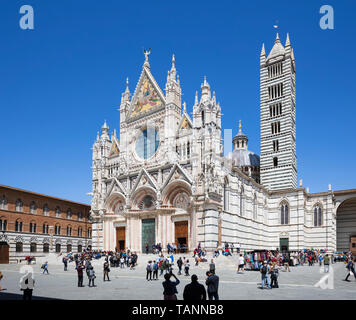 Facciata del Duomo di Siena, Siena, in provincia di Siena, Toscana, Italia, Europa Foto Stock