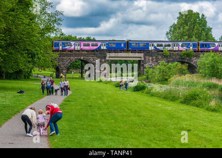 Il treno attraversa ponte sopra il Sankey canal in Sankey Valley Park. Foto Stock