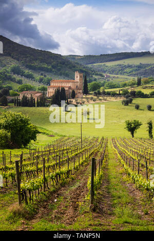 L Abbazia di Sant Antimo con vitigni in primo piano, Castelnuovo dell'Abate, in provincia di Siena, Toscana, Italia, Europa Foto Stock