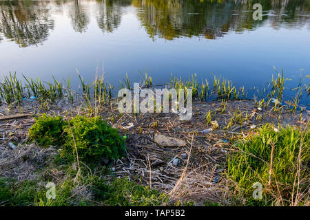 L'inquinamento del fiume. Bottiglie di plastica e altri rifiuti e immondizie in canne sulla riva del fiume, il fiume Trent, Nottinghamshire, England, Regno Unito Foto Stock