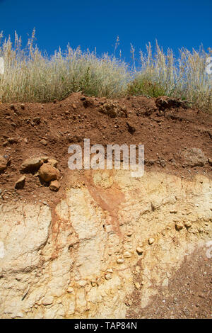 Profilo del suolo sotto la prateria sull'isola greca di Creta Foto Stock