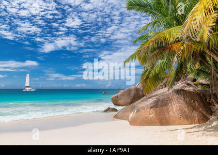 Sunny Beach sull'isola delle Seychelles Foto Stock