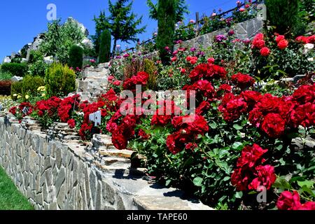 Complesso etnografico Rosa Damascena in Kazanlak. Provincia di Stara Zagora.BULGARIA Foto Stock