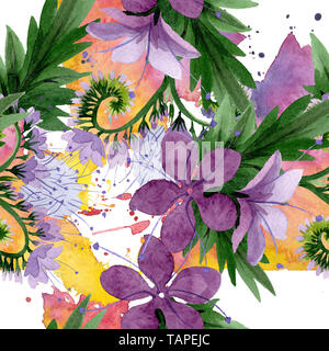 Violetta phaselia foral fiori botanica. Wild molla a balestra di fiori selvaggi. Illustrazione ad acquerello set. Disegno ad acquerello fashion aquarelle. Seamless bac Foto Stock