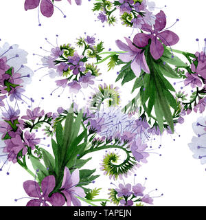 Violetta phaselia foral fiori botanica. Wild molla a balestra di fiori selvaggi. Illustrazione ad acquerello set. Disegno ad acquerello fashion aquarelle. Seamless bac Foto Stock