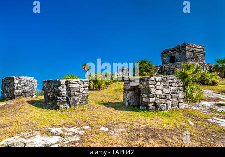 Antiche rovine Maya di Tulum in Messico Foto Stock