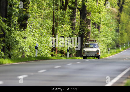 12 maggio 2019, Sassonia-Anhalt, Dessau-Roßlau: una Trabant 601 Universal Deluxe (Kombi) viaggia su una strada di campagna vicino a Dessau. Foto: Jan Woitas/dpa-Zentralbild/dpa Foto Stock