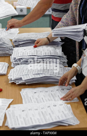 Haverfordwest, Regno Unito. 26 Maggio, 2019. Scrutini vengono conteggiati presso il Pembrokeshire archivi in Haverfordwest Credito: ATHENA AGENZIA IMMAGINE LTD/Alamy Live News Foto Stock