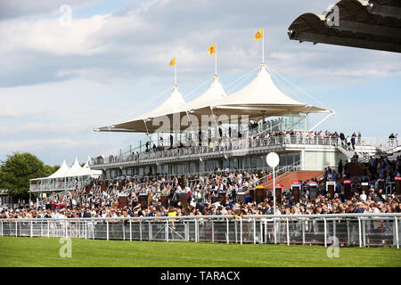 Viste generali di Goodwood Racecourse, Chichester, West Sussex, Regno Unito. Foto Stock