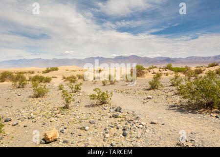 Mesquite Flat dune di sabbia nel Parco Nazionale della Valle della Morte. In California, Stati Uniti d'America Foto Stock