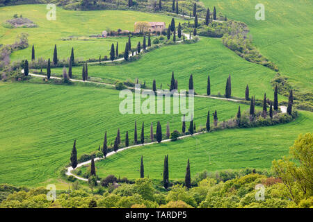 Avvolgimento strada toscano di cipressi, La Foce, vicino a Montepulciano in provincia di Siena, Toscana, Italia, Europa Foto Stock