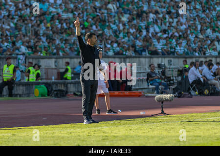 Maggio 25, 2019. Oeiras, Portogallo. Porto la testa in pullman da Portogallo Sergio Conceicao in azione durante il gioco Sporting CP vs FC Porto © Alexandre de Sousa/Alamy Live News Foto Stock