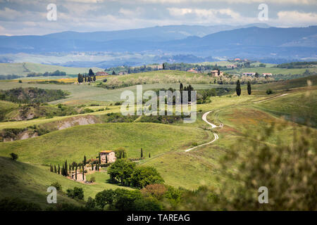 Tipica campagna toscana con casa colonica e cipressi, vicino a Pienza, in provincia di Siena, Toscana, Italia, Europa Foto Stock