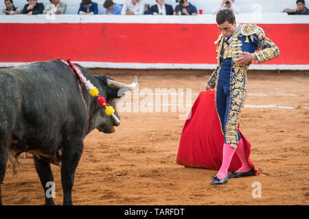 Torero spagnolo Paco cui Urena suona con un toro nella Plaza de Toros Marzo 3, 2018 in San Miguel De Allende, Messico. Foto Stock